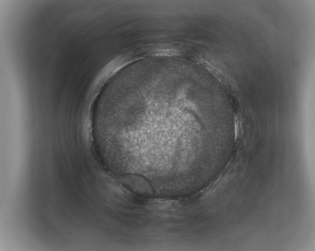 X0000111850339200908201241
