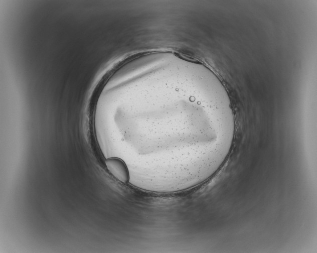 X0000111850342200908201241