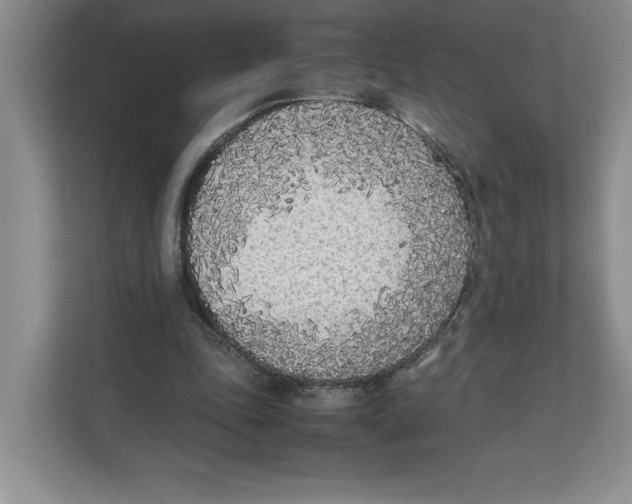X0000111850343200908201241