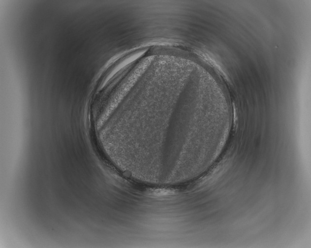X0000111850348200908201242