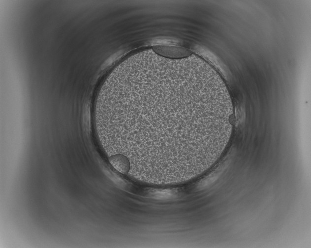 X0000111850349200908201242