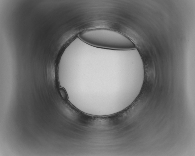X0000111850350200908201242