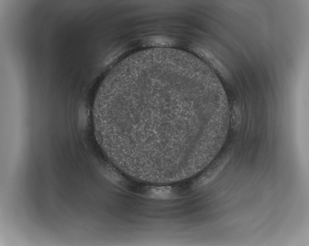 X0000111850355200908201242