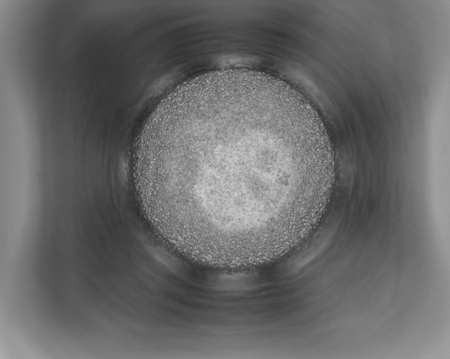X0000111850357200908201242