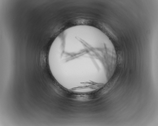 X0000111850363200908201242