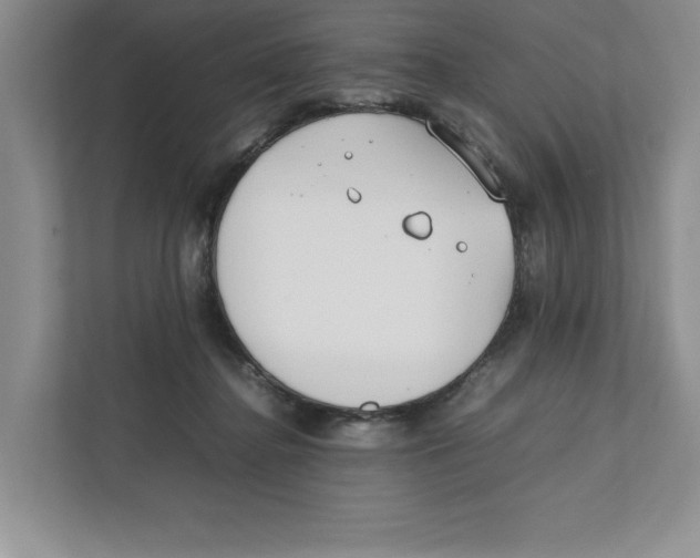 X0000111850364200908201242