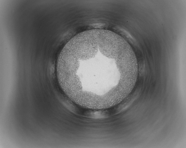 X0000111850365200908201242