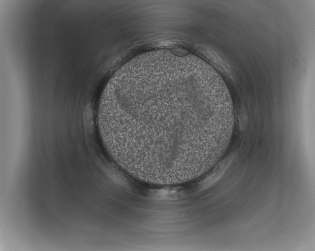 X0000111850366200908201242