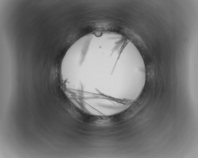 X0000111850369200908201242