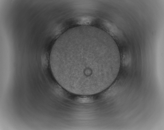 X0000111850370200908201242