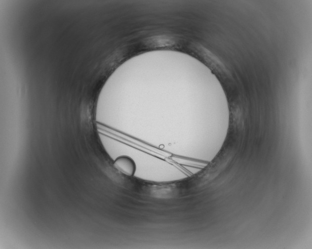 X0000111850373200908201242