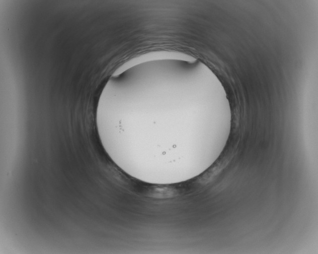 X0000111850376200908201242