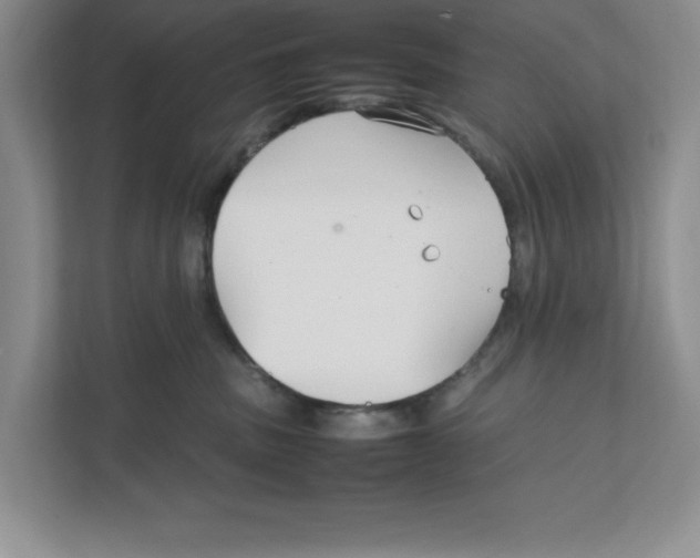 X0000111850379200908201242