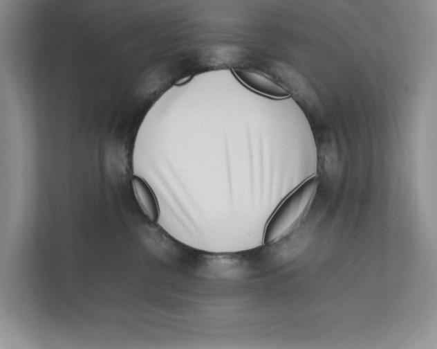 X0000111850380200908201242
