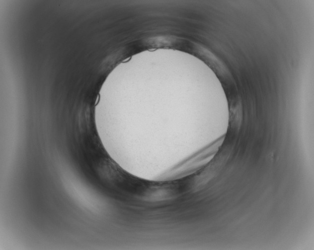 X0000111850381200908201242