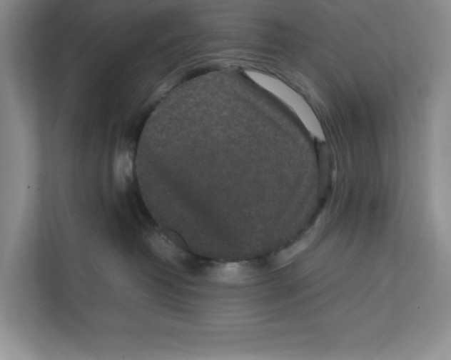 X0000111850382200908201242