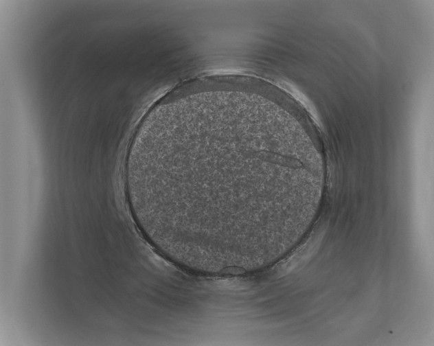 X0000111850385200908201241