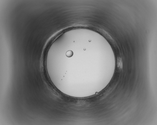 X0000111850388200908201241