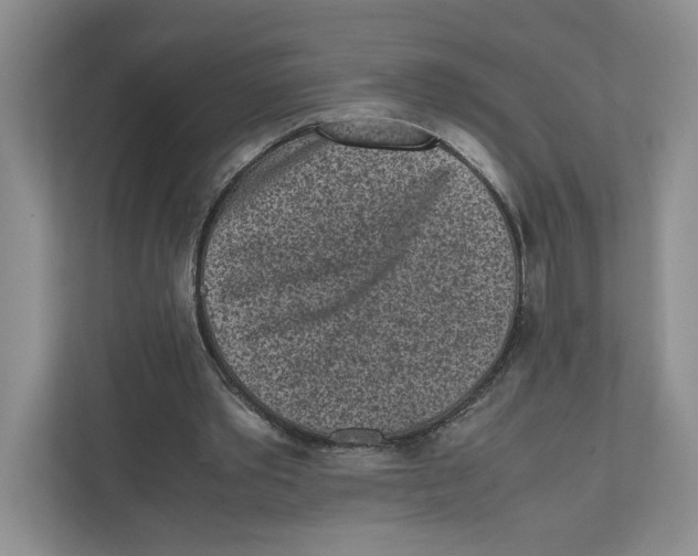X0000111850389200908201241