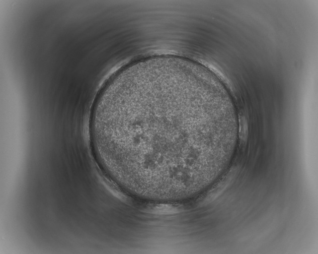 X0000111850390200908201241