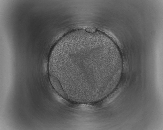 X0000111850393200908201241