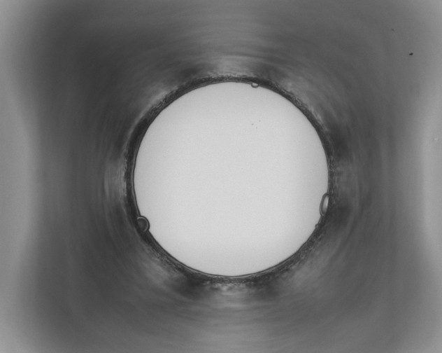 X0000111850395200908201241