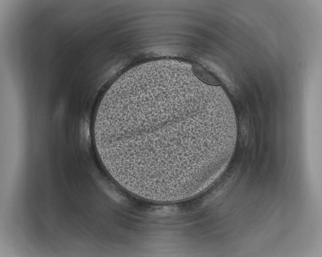 X0000111850398200908201241