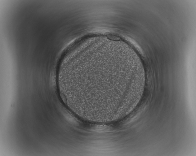 X0000111850399200908201241