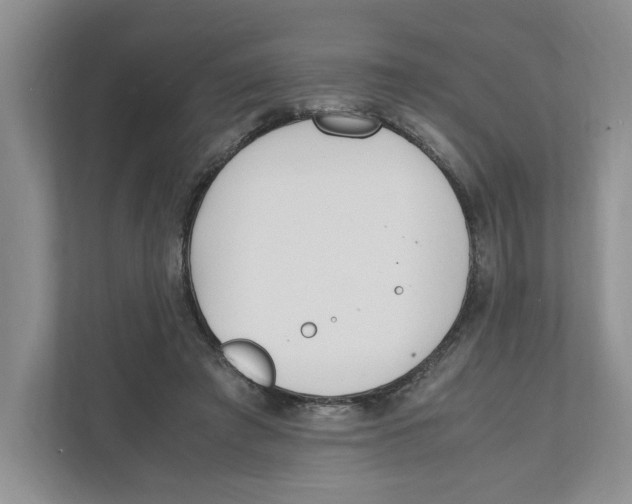 X0000111850401200908201241