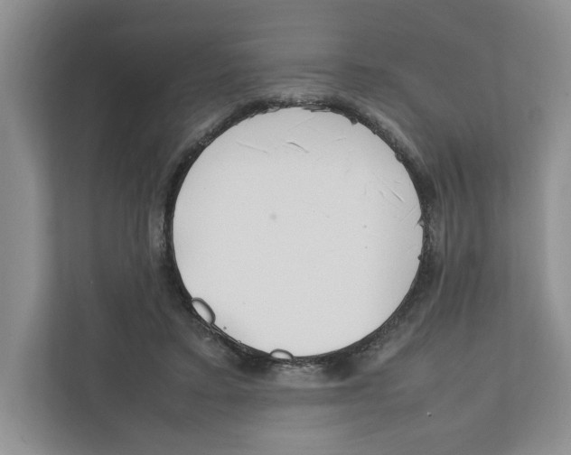X0000111850403200908201241
