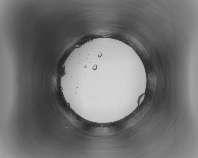 X0000111850404200908201241
