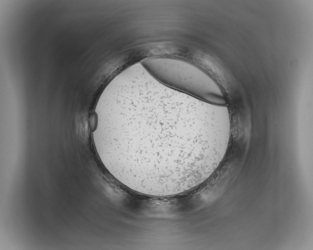 X0000111850405200908201241
