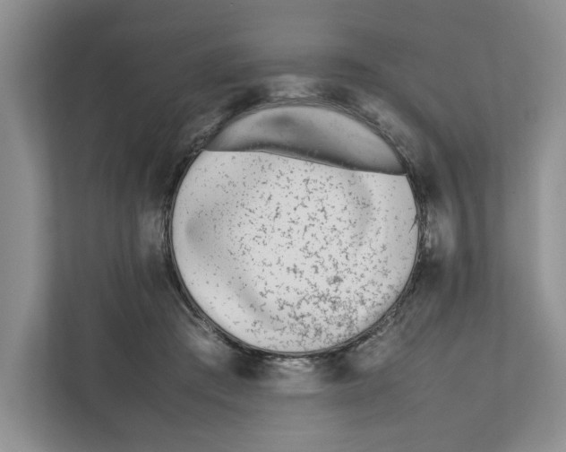 X0000111850409200908201241