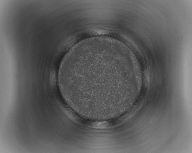X0000111850410200908201241