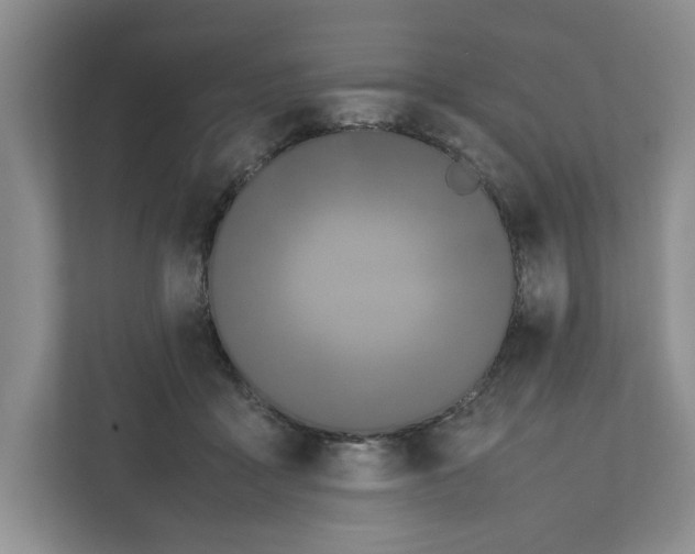 X0000111850411200908201241