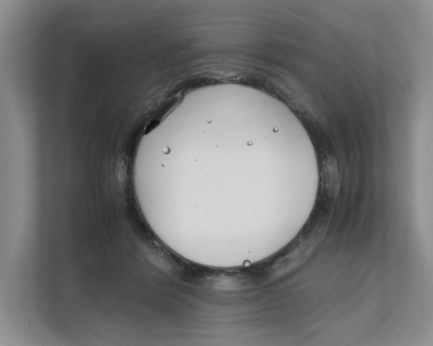 X0000111850412200908201241