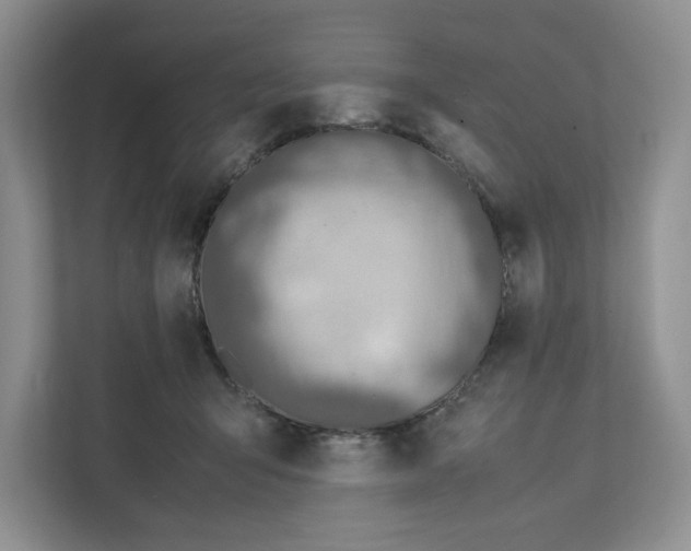 X0000111850415200908201241