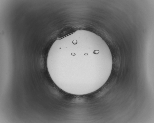 X0000111850416200908201241