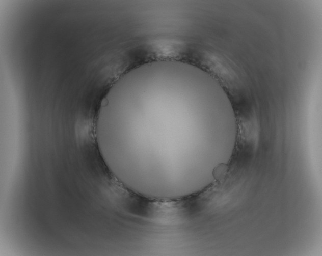 X0000111850419200908201241