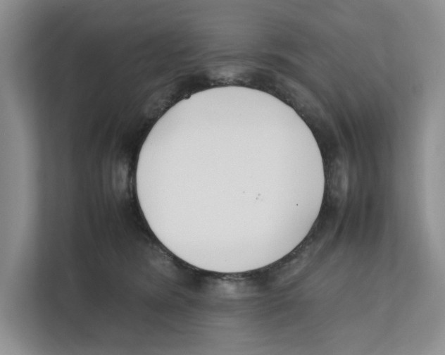 X0000111850420200908201241