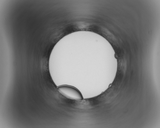 X0000111850421200908201241