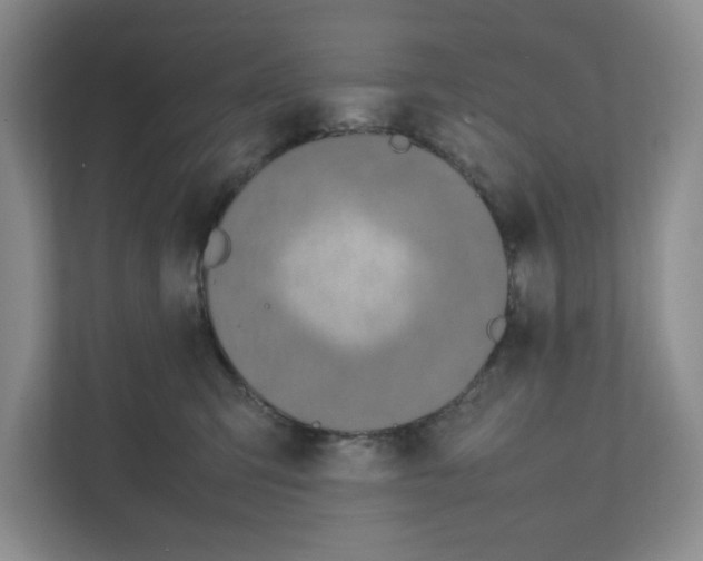 X0000111850423200908201241