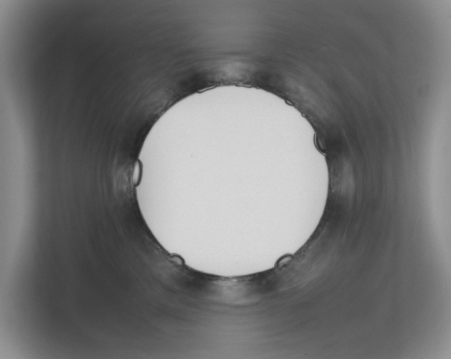 X0000111850425200908201241