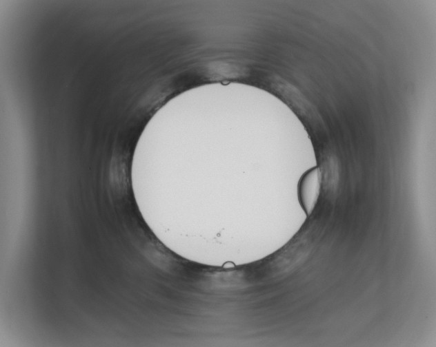 X0000111850426200908201241