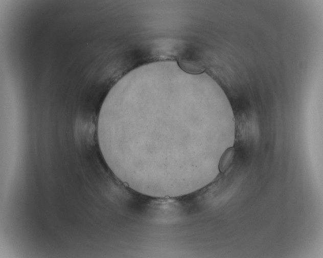 X0000111850427200908201241