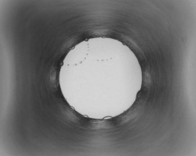 X0000111850428200908201241