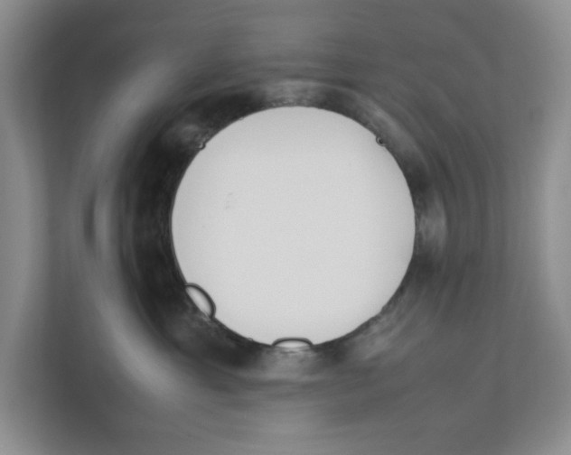 X0000111850429200908201241