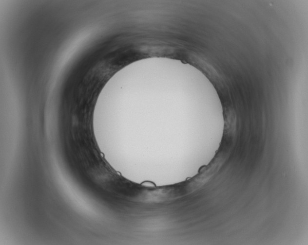 X0000111850430200908201241