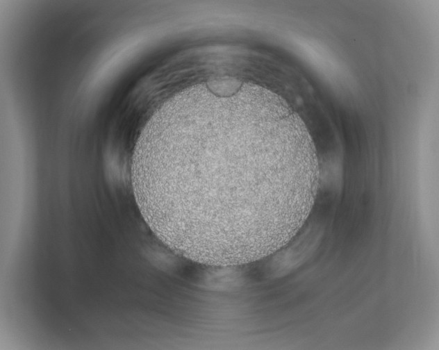 X0000111850431200908201241