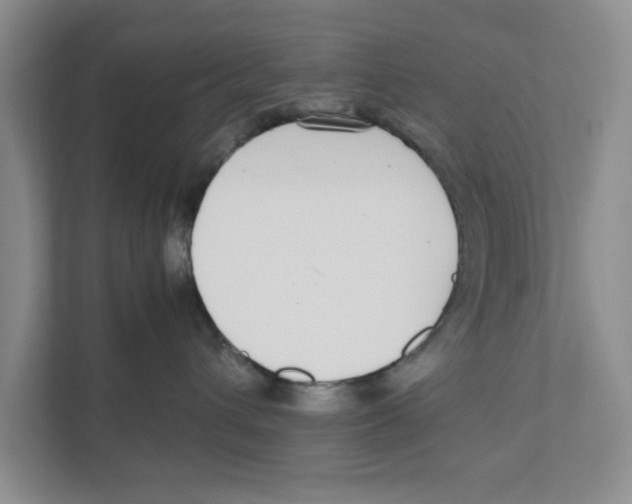 X0000111850432200908201241